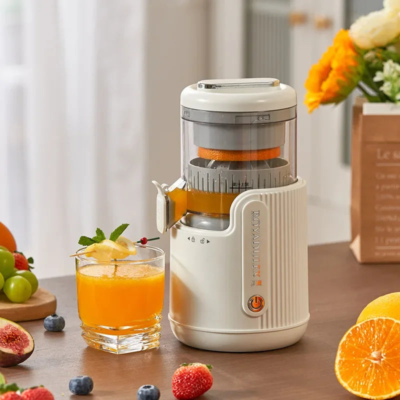 Fruit Vegetable Juicing Machine