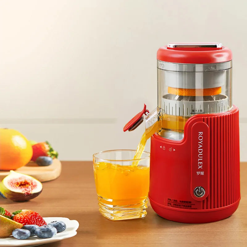 Fruit Vegetable Juicing Machine