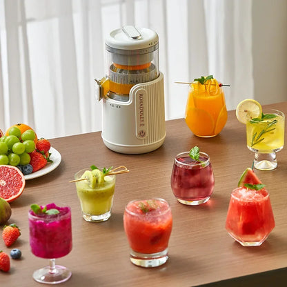 Fruit Vegetable Juicing Machine