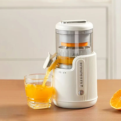 Fruit Vegetable Juicing Machine