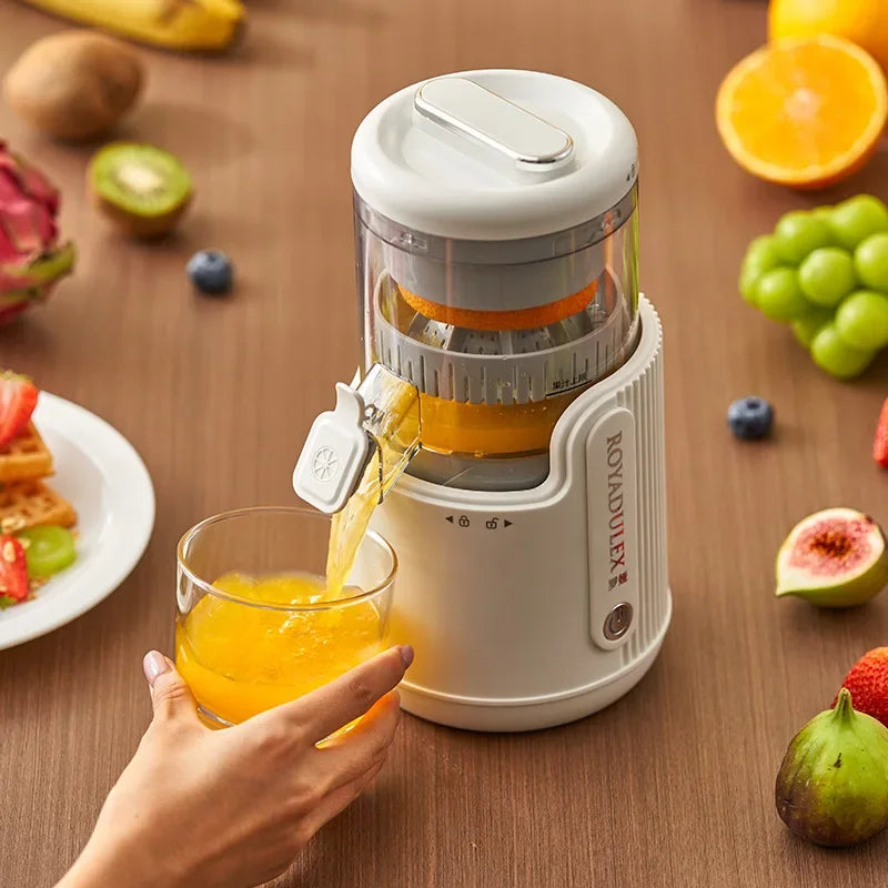 Fruit Vegetable Juicing Machine